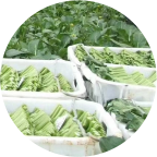 加工環(huán)節(jié)